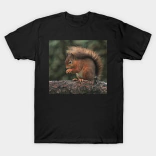 Squirrel shelter T-Shirt